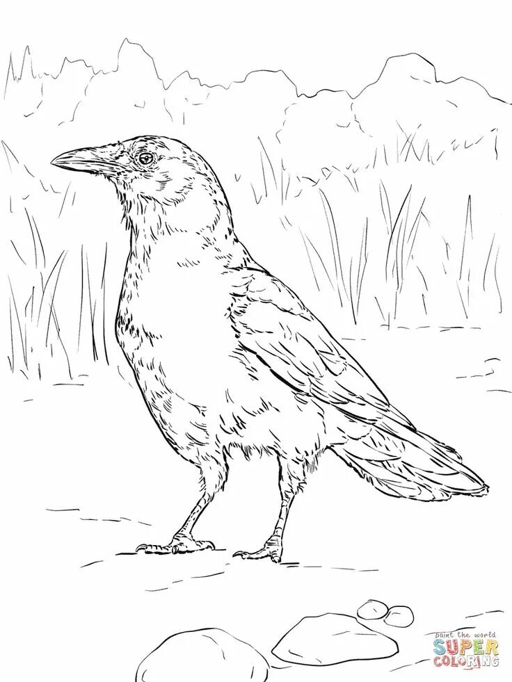 Ворон раскраска для детей распечатать Coloring pages, Coloring book pages, Coloring books
