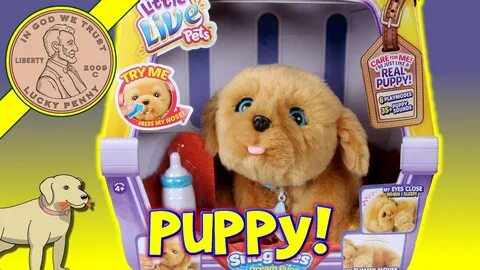 Как переводится toy