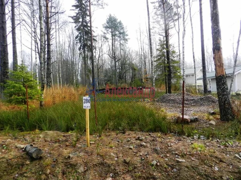 Красная долина. Погода в красной долине лен обл. Погода в красной долине лен обл. Погода в красной долине лен обл. Погода в красной долине лен обл.