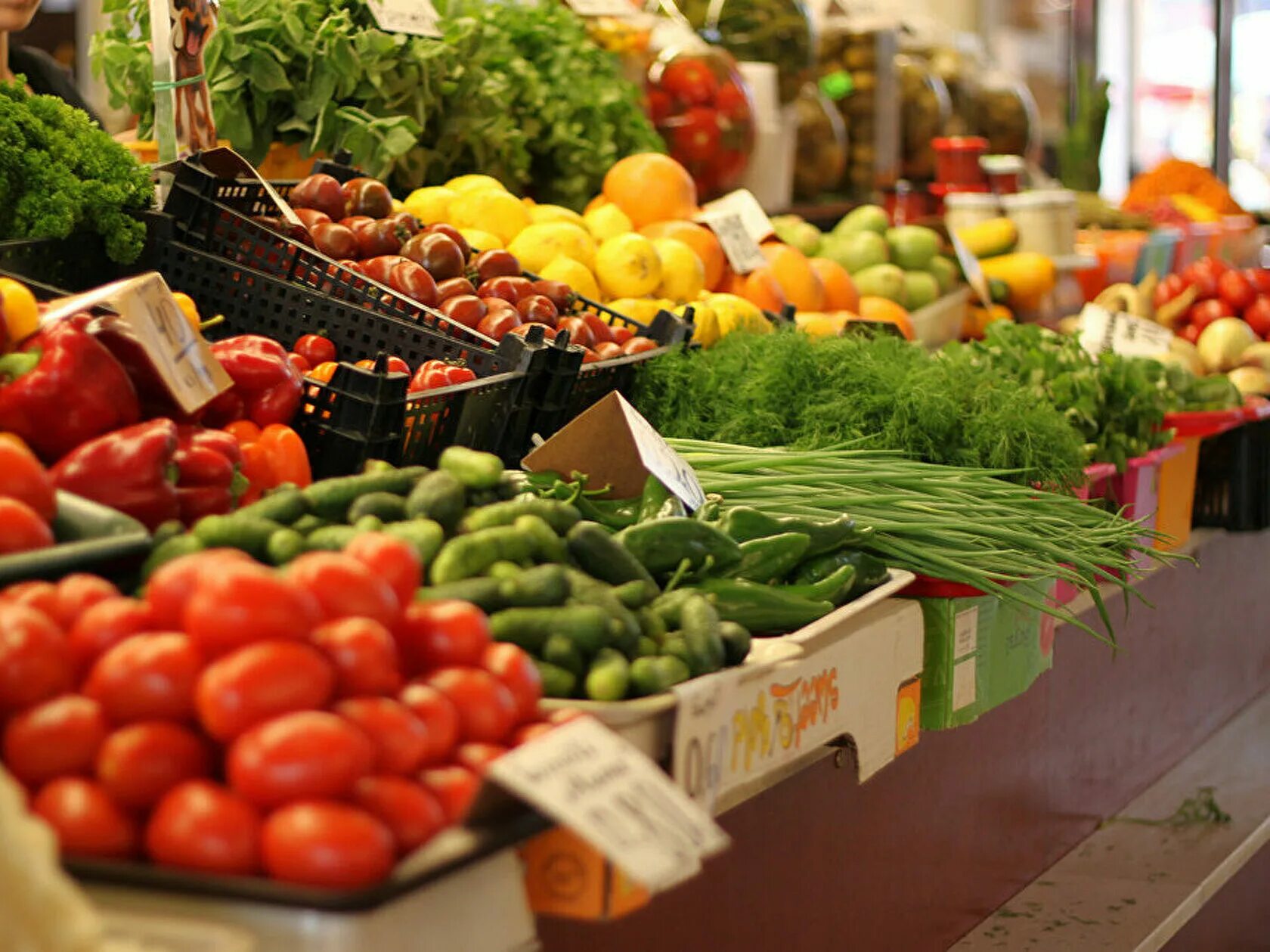 Овощи на рынке. Рынок сельского хозяйства. Овощи и фрукты на рынке. Рынок овощей и фруктов.