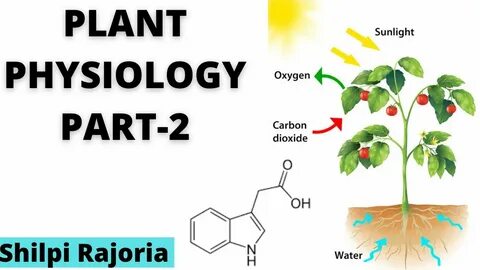 Plant physiology journal