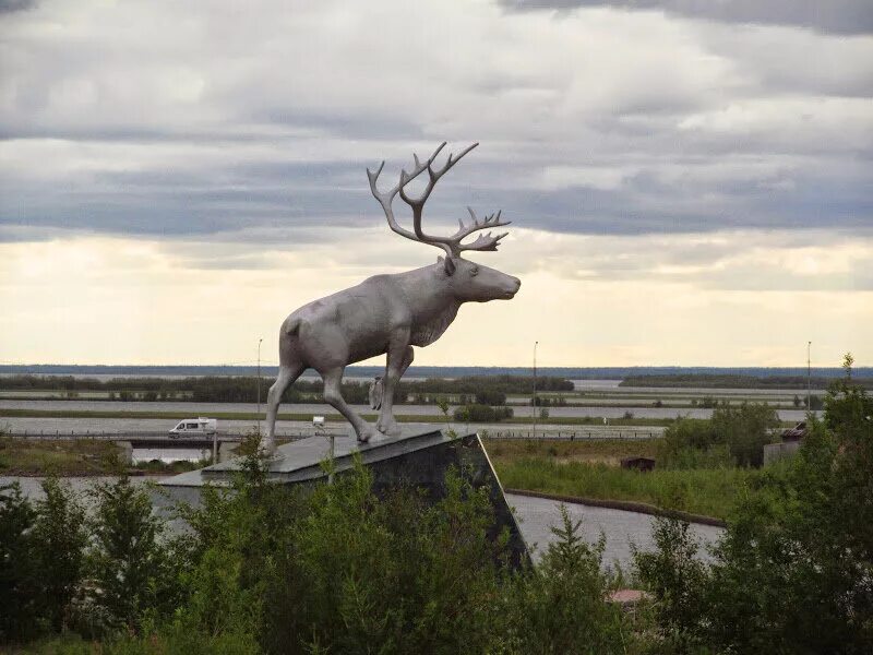 Северный олень салехард скульптура салехард. Городской парк воркута олень. Олень салехард скульптура. Памятник северному оленю салехард. Скульптура северный олень.