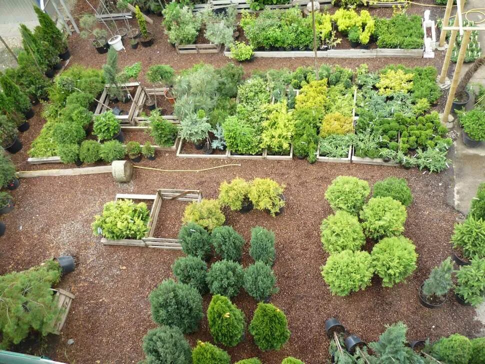 красивые грядки. грядки-клумбы мавританский дворик. планировка огорода и плодового сада. планировка грядок на огороде 1 сотках. рабатки миксбордеры.