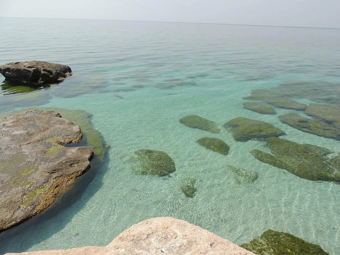 Каспийское море Актау. Каспийское море Казахстан Актау. Актау побережье Каспийского моря. Курорт Актау в Казахстане. Каспий сайт казахстан