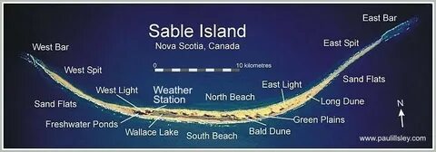 Sable перевод