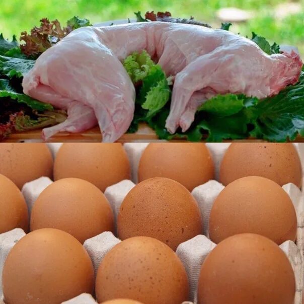Яйцо куриное. Домашние яйца. Мясо и яйца. Яйцо домашнее куриное. Яйцо мясная курица