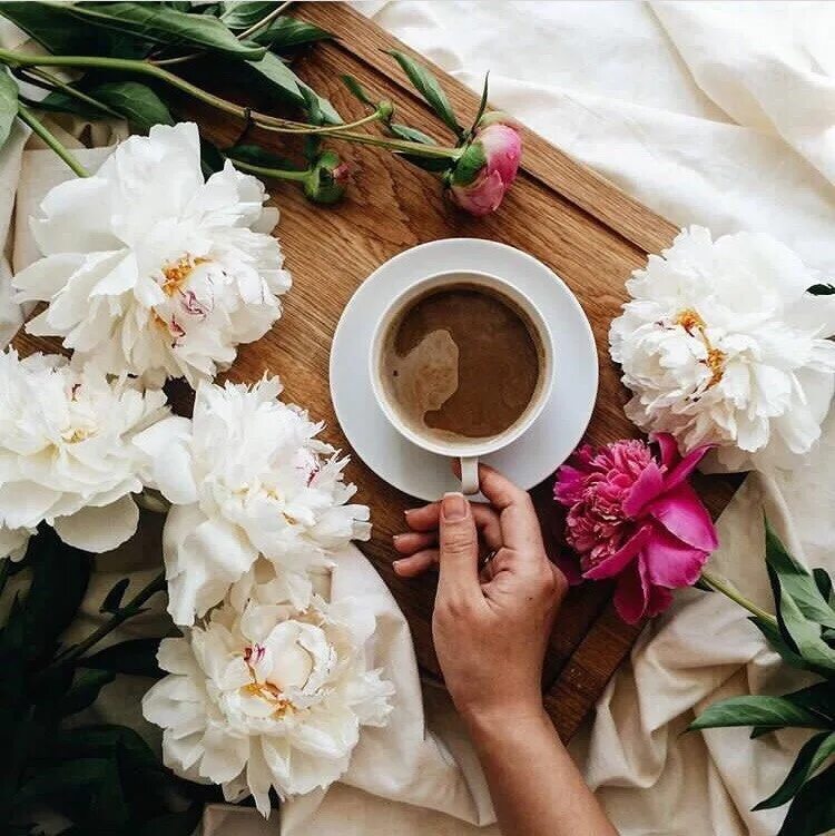 Оригинальные чашки для кофе. Стильные открытки с добрым утром. Художница-иллюстратор из италии синция болонези (cinzia bolognesi). Оригинальные открытки с добрым утром. Доброго дня стильные.