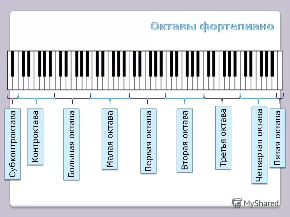 Голос 4 октавы. Субконтроктава контроктава большая Октава малая Октава. Октава фортепиано 2 октавы.