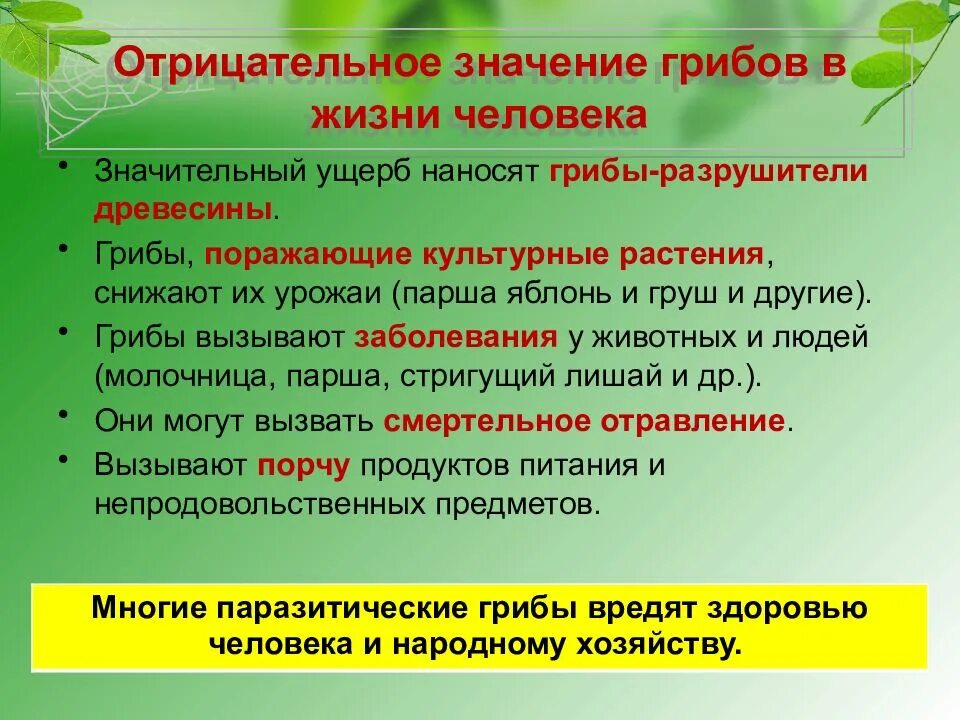 Отрицательное значение общего. Таблица по биологии 5 класс значение грибов в природе и жизни человека. значение грибов. значение грибов в природе. грибы значение в природе.