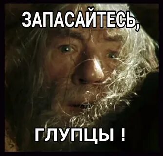 Глупцы не разумом не честностью блистали