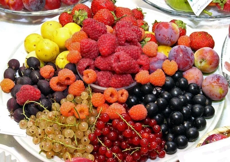 Самые полезные фрукты и овощи. Ягоды и овощи для поднятия. Разные фрукты и ягоды. Продукты которые сжигают жир. Ягоды для зрения.