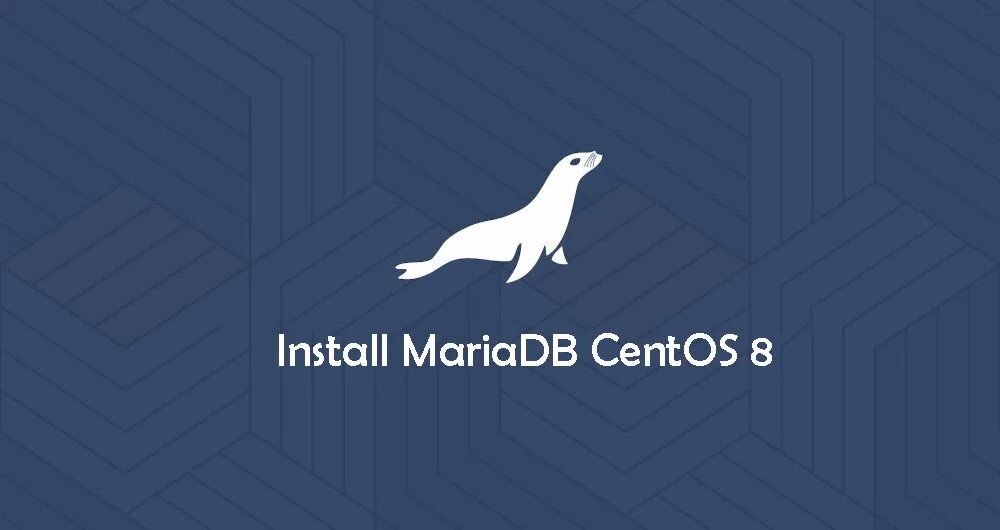 Mariadb логотип. Mariadb логотип. Mariadb плюсы и минусы. С# mariadb. Mariadb connect.