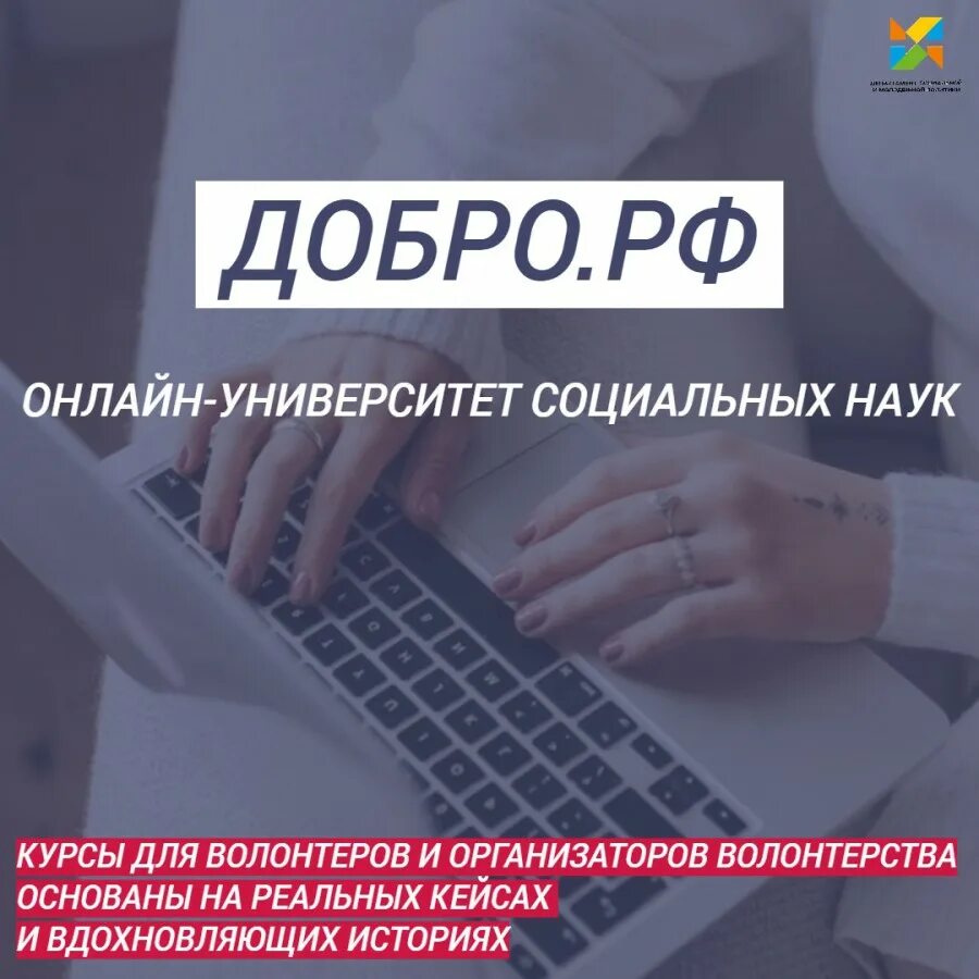 школа добро университет. онлайн курсы для волонтеров. школа добро университет. добро университет. добро университет картинки.