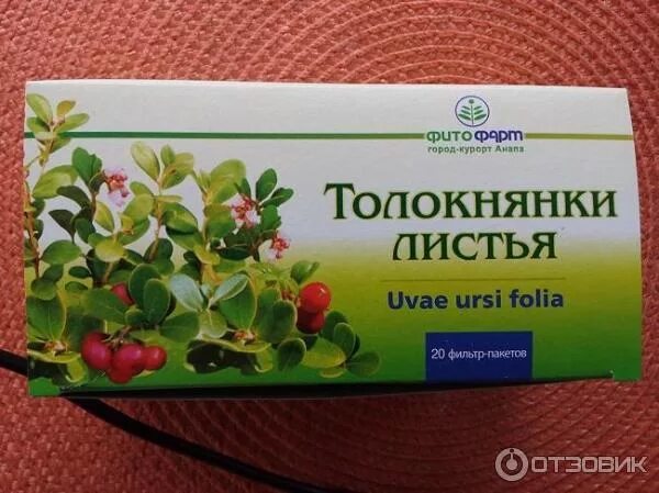 Листья толокнянки для чего. Препараты толокнянки. листья толокнянки препараты. толокнянка в аптеке. толокнянка мочегонное.