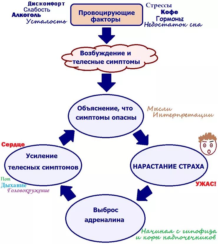 Читать курпатова панические атаки. Паническая атака когнитивно поведенческая терапия схема. Схема панической атаки. Схемы возникновения панической атаки. Механизм развития панической атаки.