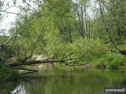 Погода пекша
