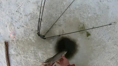 Хапуга зимой видео