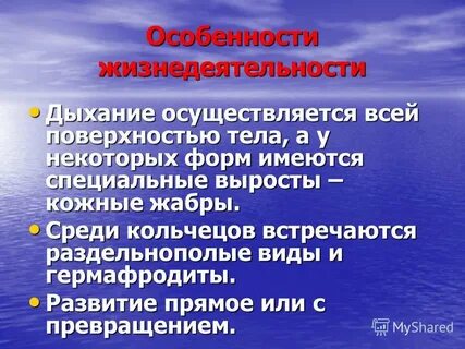 Особенности жизни деятельности