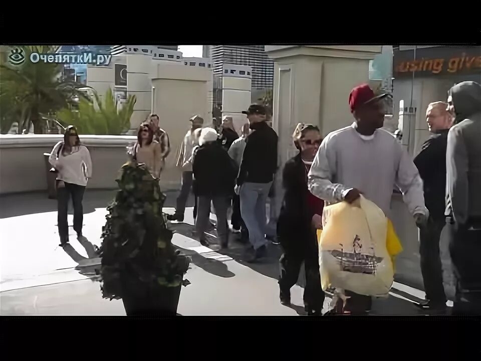 Живой куст пугает людей. Живой куст пранк. Пранки над людьми на улице кусты. Живой куст пугает людей. Фото для пранка.