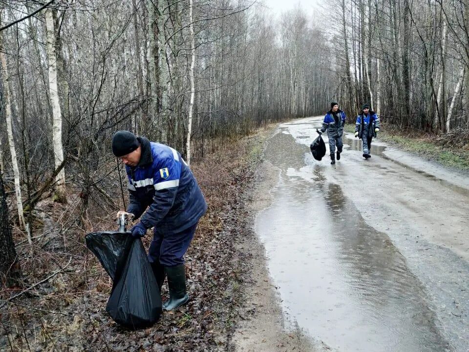 экологическое развлечение. как люди помогают животным в заповедниках. помощь заповеднику. специалист заповедника. экоцентр заповедники.