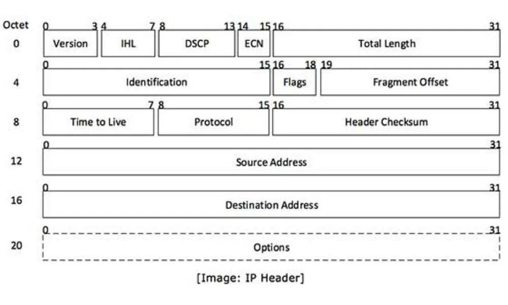 Формат пакета ipv4. Структура ipv4 протокола. Структура пакета ipv4. Структура заголовка пакета ipv4.