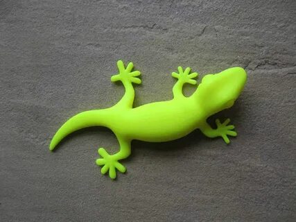 Gecko linux