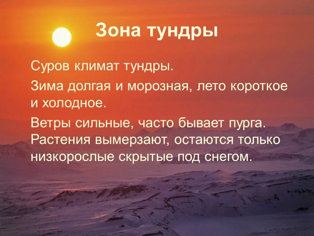 Природная зона продолжительная морозная зима. Суров климат тундры. Рассказ о зоне тундры. Зона тундры климат. Короткое и Холодное лето в тундре.