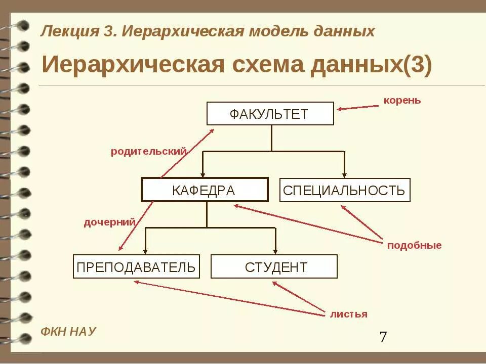 Иерархического способа организации данных. Иерархическая модель базы данных. Иерархическая модель данных схема. Схема иерархической базы данных. Иерархия схема.