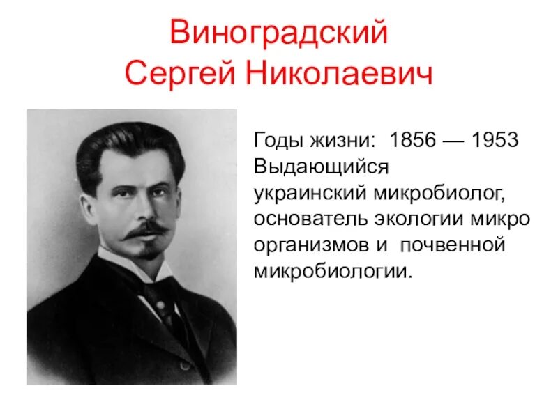 Виноградский в г. Виноградский в г
