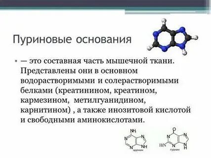 Пуриновые и пиримидиновые основания это