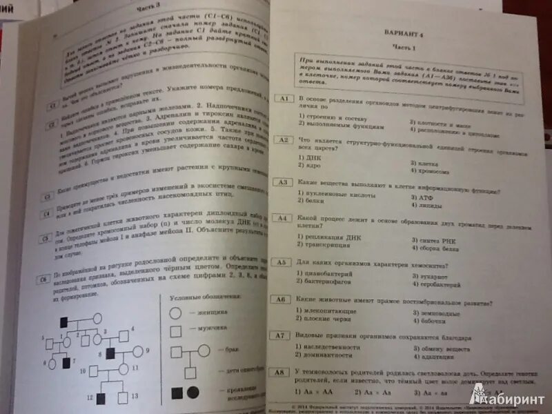 Вариант 8 егэ биология. ЕГЭ по биологии 2017. ЕГЭ биология 2017 Калинова 30 вариантов ответы. ЕГЭ 2017 биология Калинова 30 вариантов. Рохлов 30 вариантов.