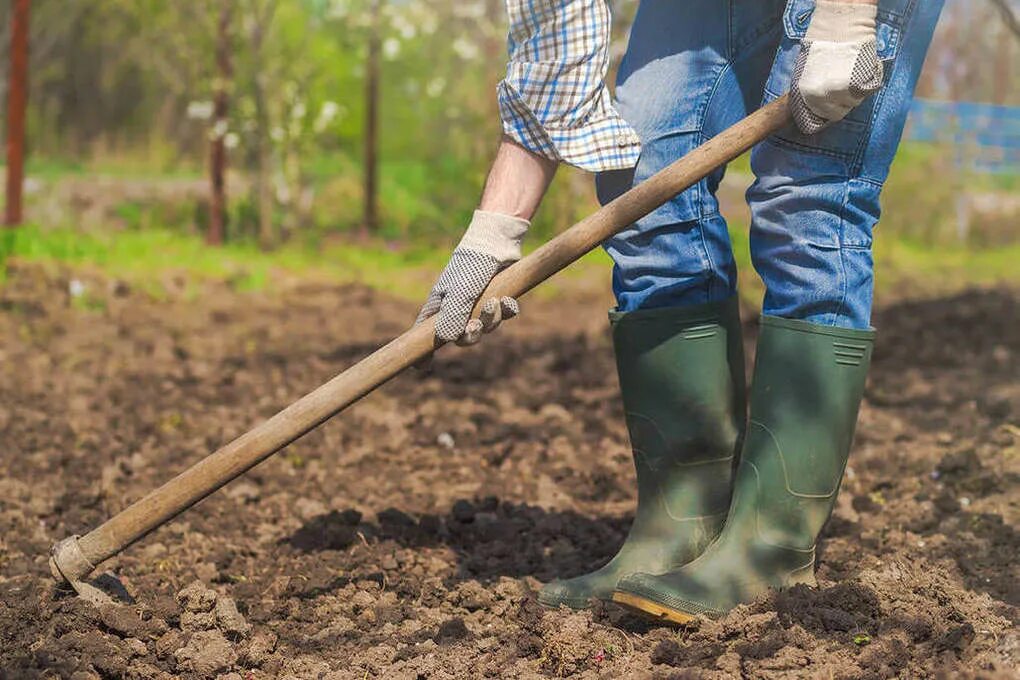 Удобрения в сельском хозяйстве. Совместная обработка земли. Огородник - перекопка. Совместная обработка земли. Перекопка земли.