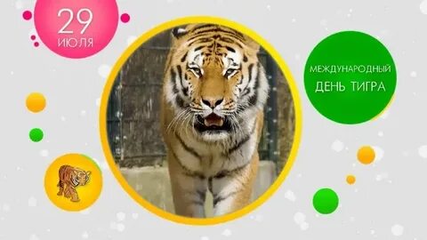Какая будет 29 июля