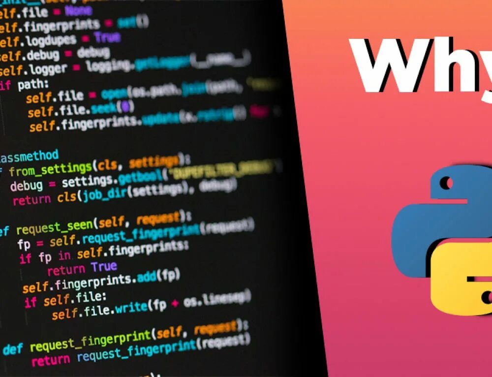 Why Python. Пайтон почему. Def learn питон. Почему Python так популярен.