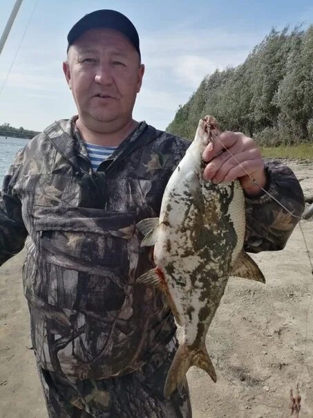 Щука и налим. Рыбалка на иртыше зимой. Рыбалка в тобольском. Рыбалка в тобольске на иртыше. Рыбалка в тобольске.