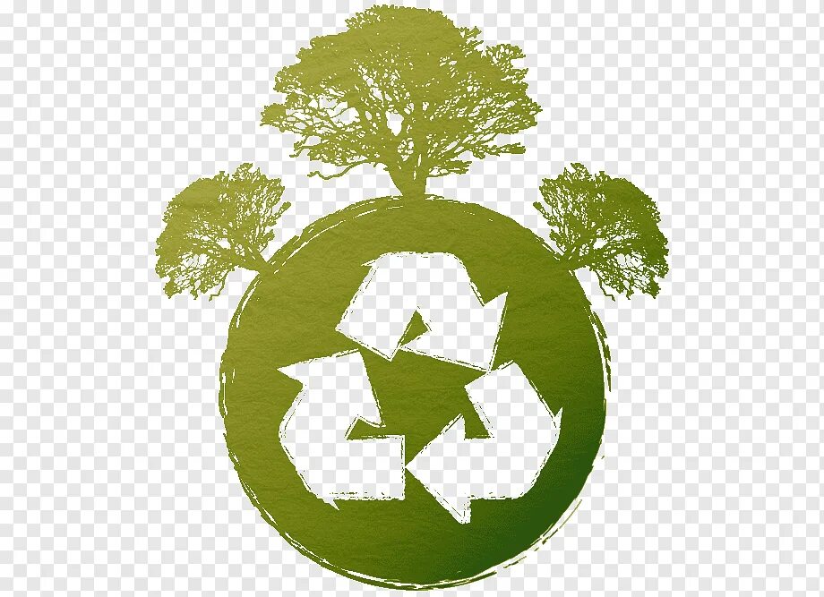 Символ экологии. Экологичный значок. Экологические символы. Экологически чистое дерево. Символ эколога