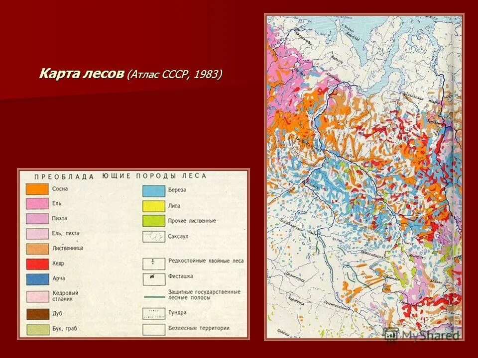 почвы западной сибири. почвы восточной сибири карта. почвенные западной сибири. почвенная карта западно сибирской равнины. почвенные западной сибири.