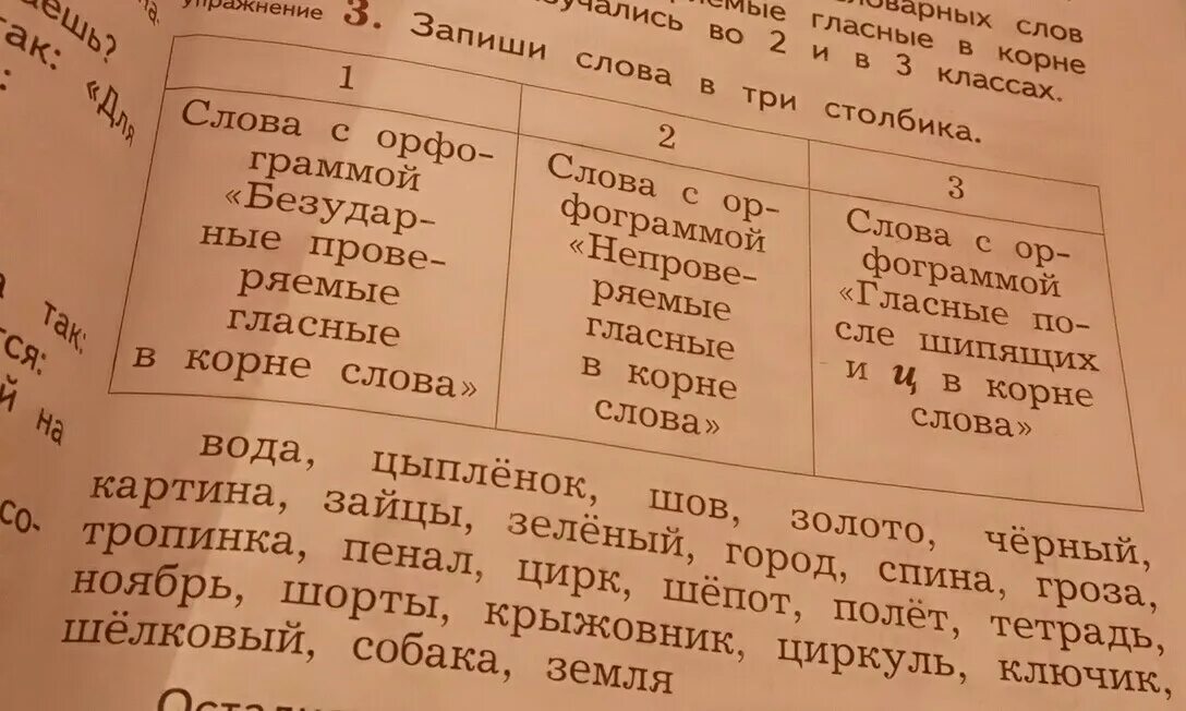 Запиши слова в три столбика. Запишите слова в 3 столбика 1 столбик. Запиши слова в три столбика дочь елка. Гроза корень. Запиши в первый столбик слова.