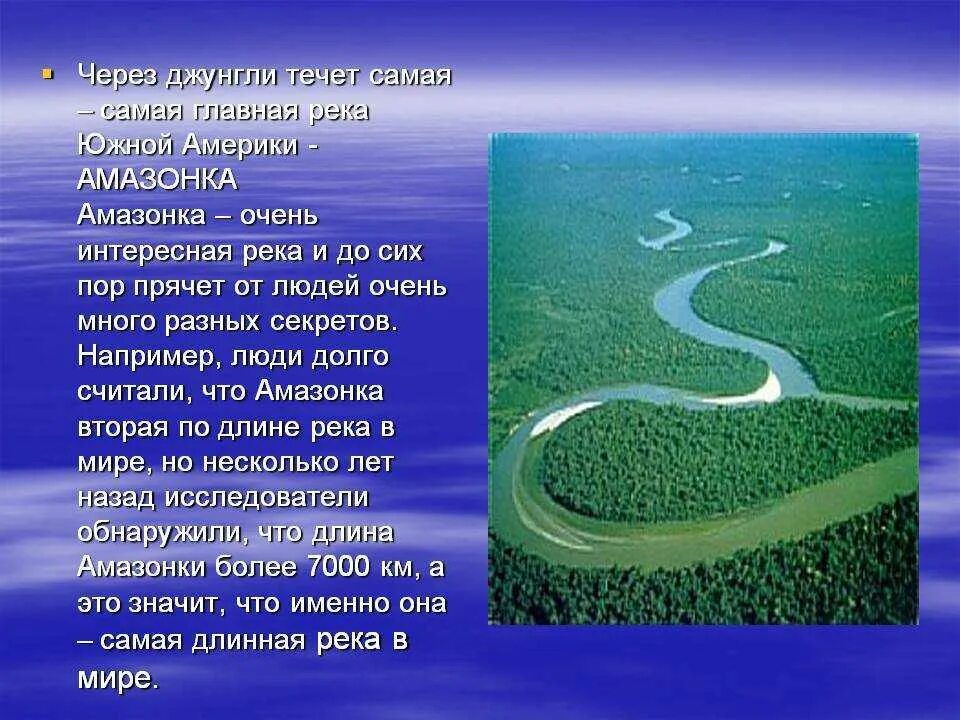 Какая река является самой длинной на материке. Южная Америка река Амазонка. Река Амазонка в Бразилии. Река Амазонка география 7 класс. Река Амазонка презентация.