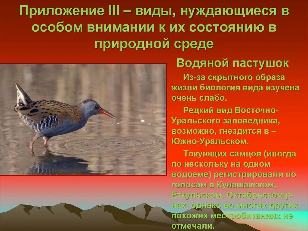 Вид и не нуждается в. Вид и не нуждается в