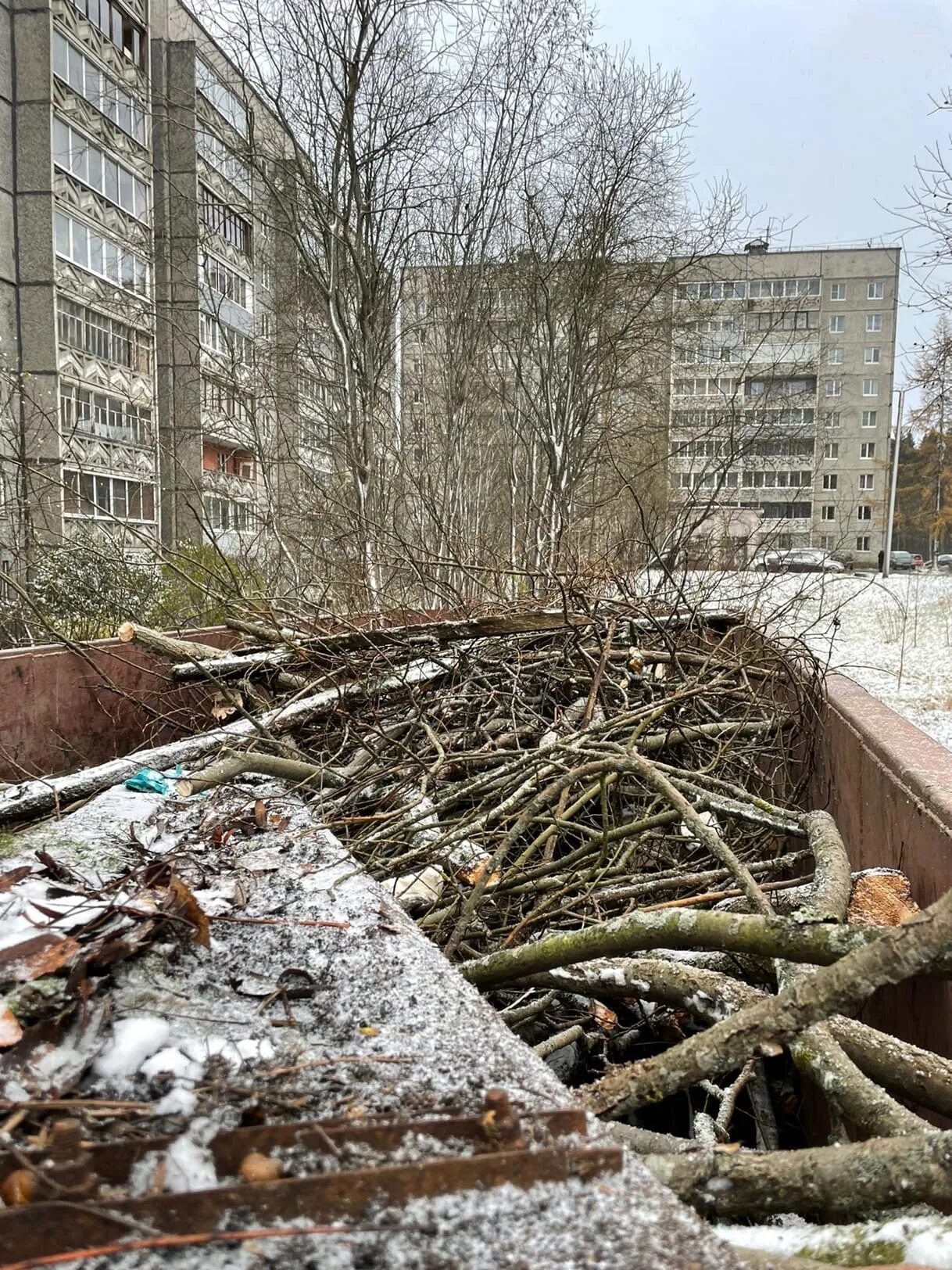 40 деревьев. Аварийно опасные деревья. гора кукковка петрозаводск. вырубка деревьев осенью. деревья спилили на павлова.