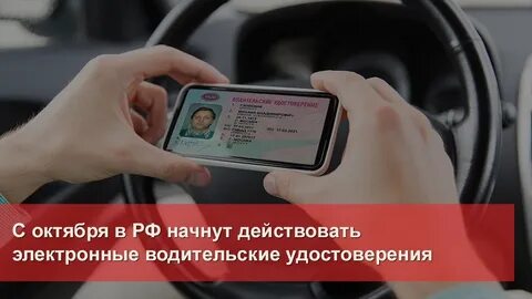 Электронный водитель