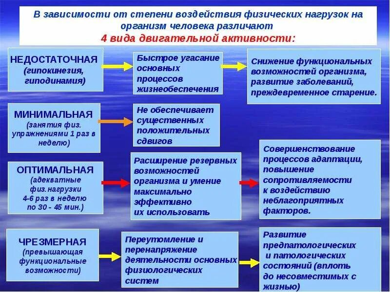 Функциональные изменения примеры. Физическая нагрузка на организм. Классификация видов физической активности. Типы физических нагрузок. Функциональные изменения в организме при физических нагрузках.