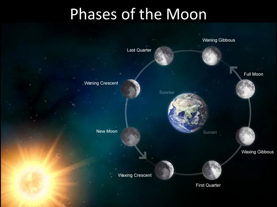 Сколько частей луны. Фазы Луны. Цикл лунных фаз. Расположение планет в полнолуние. Фазы Луны и солнца.