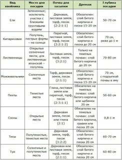 Когда можно посадить ребенка
