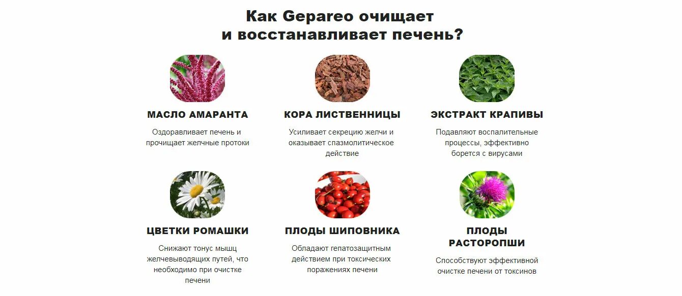 Что хорошо восстанавливает печень