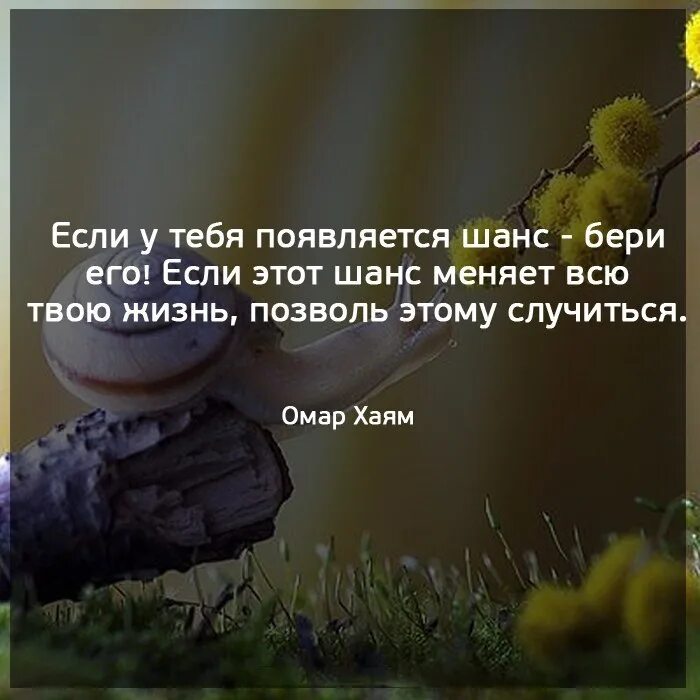 Шанс на жизнь новокузнецк. Высказывания про шанс в жизни. Цитаты про шанс в жизни. Цитаты про второй шанс в жизни. Стихи про шанс в жизни.