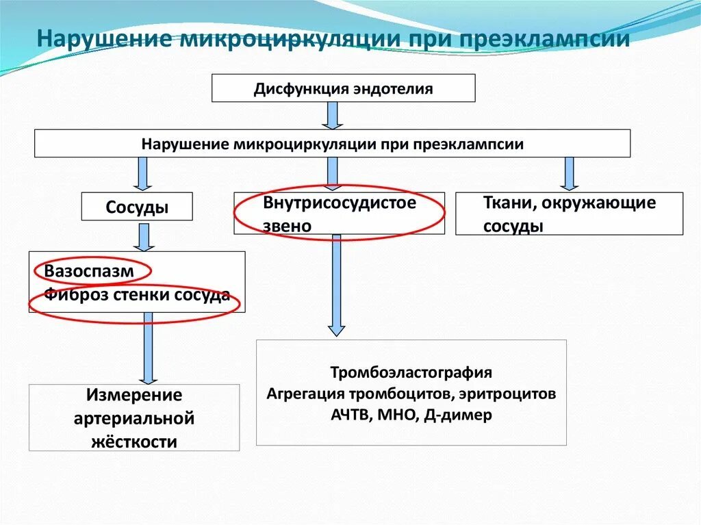 Этиология и патогенез болезни. Патогенез опухоли схема. Липома этиология и патогенез учебник. Х-сцепленная адренолейкодистрофия патогенез. Липома этиология и патогенез учебник.