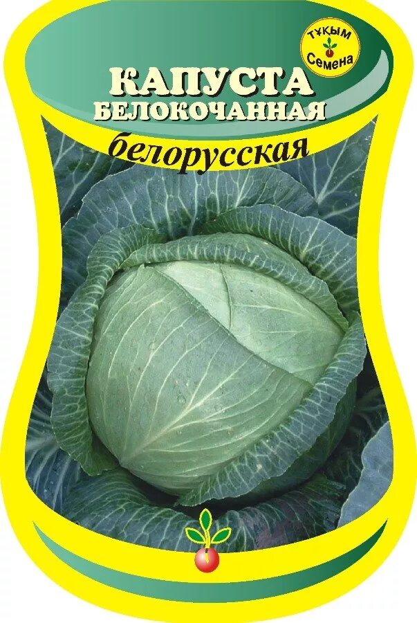 Капуста белорусская описание сорта отзывы. Капуста Таурус f1 белокочанная. Капуста белорусская поздняя. Капуста Таурус f1. Семена белорусской капусты.