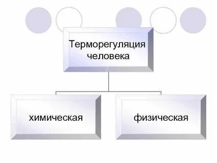 Терморегуляция виды